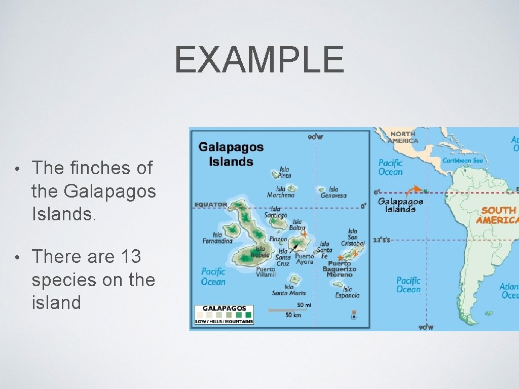 EXAMPLE • The finches of the Galapagos Islands. • There are 13 species on