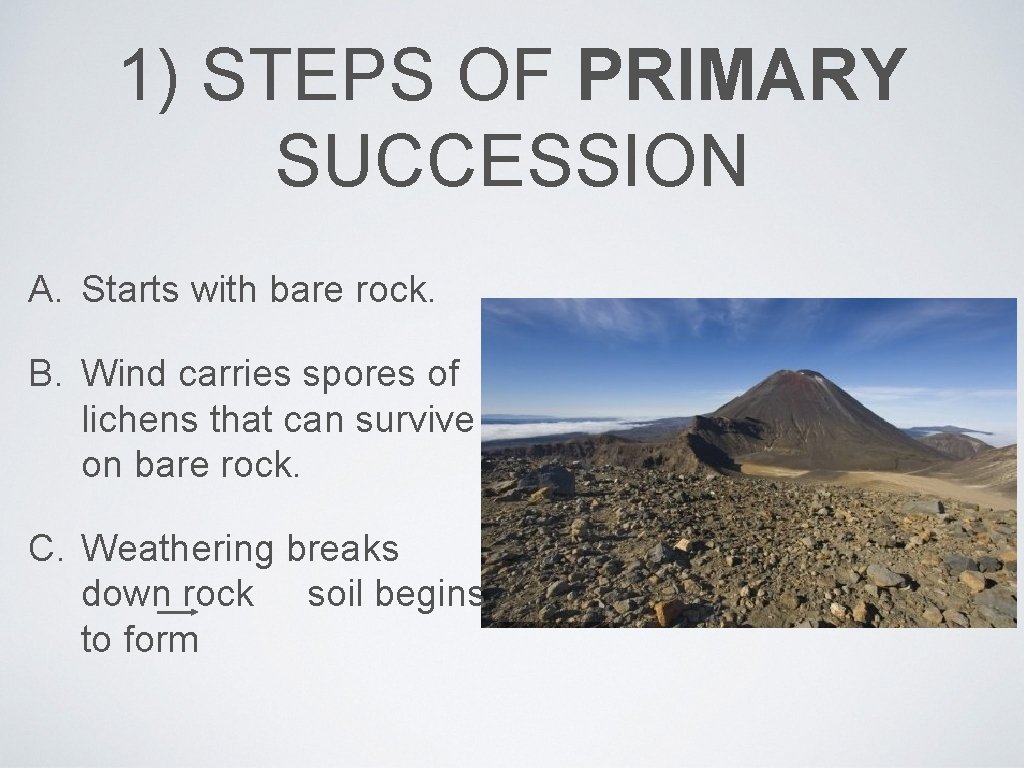 1) STEPS OF PRIMARY SUCCESSION A. Starts with bare rock. B. Wind carries spores