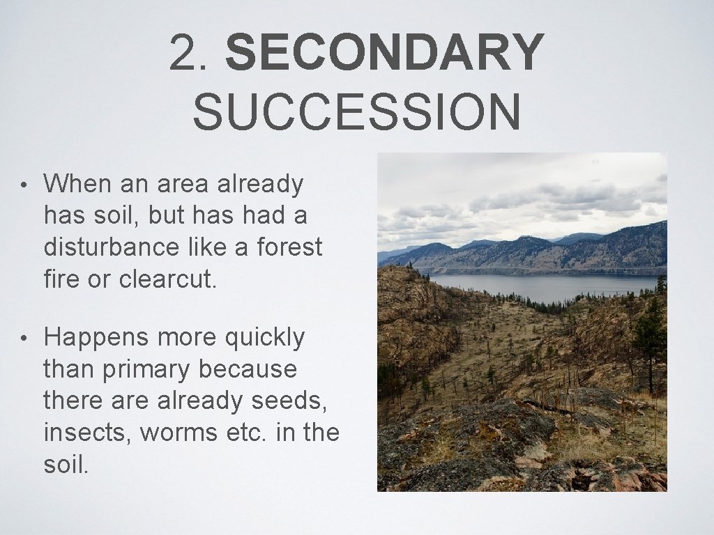 2. SECONDARY SUCCESSION • When an area already has soil, but has had a