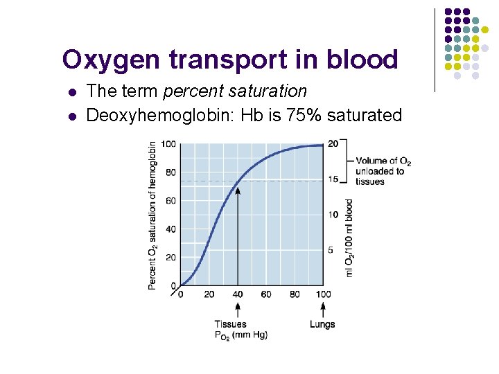 Oxygen transport in blood l l The term percent saturation Deoxyhemoglobin: Hb is 75%