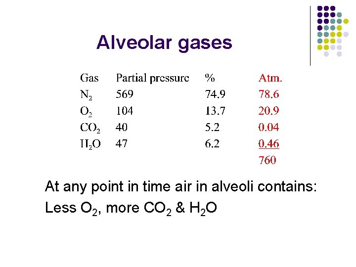 Alveolar gases At any point in time air in alveoli contains: Less O 2,
