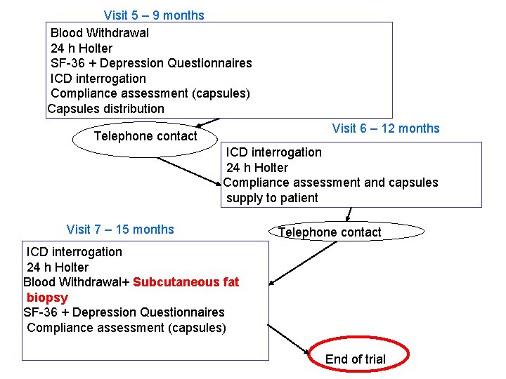 Visit 5 – 9 months Blood Withdrawal 24 h Holter SF-36 + Depression Questionnaires