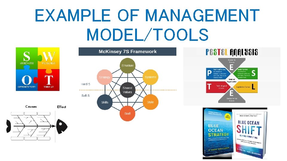 EXAMPLE OF MANAGEMENT MODEL/TOOLS 