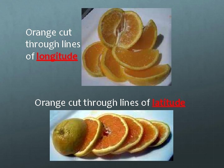 Orange cut through lines of longitude Orange cut through lines of latitude 