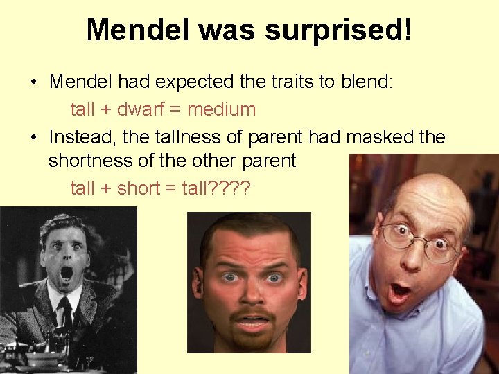 Mendel was surprised! • Mendel had expected the traits to blend: tall + dwarf