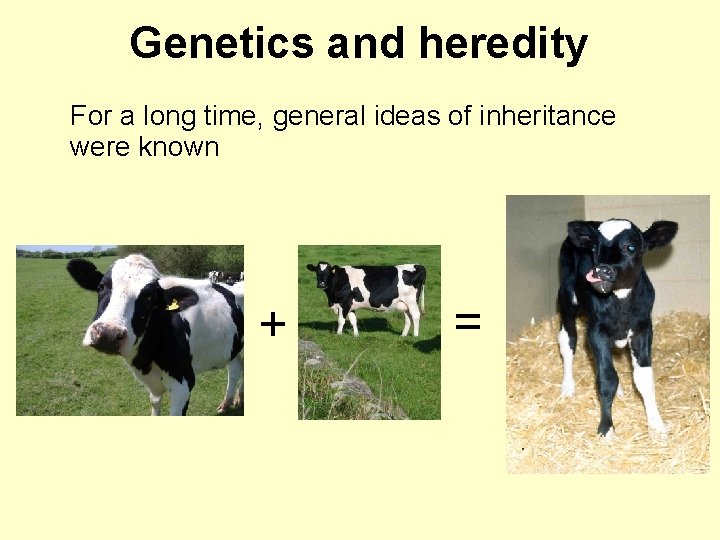 Genetics and heredity For a long time, general ideas of inheritance were known +