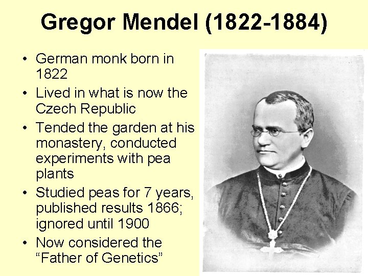 Gregor Mendel (1822 -1884) • German monk born in 1822 • Lived in what