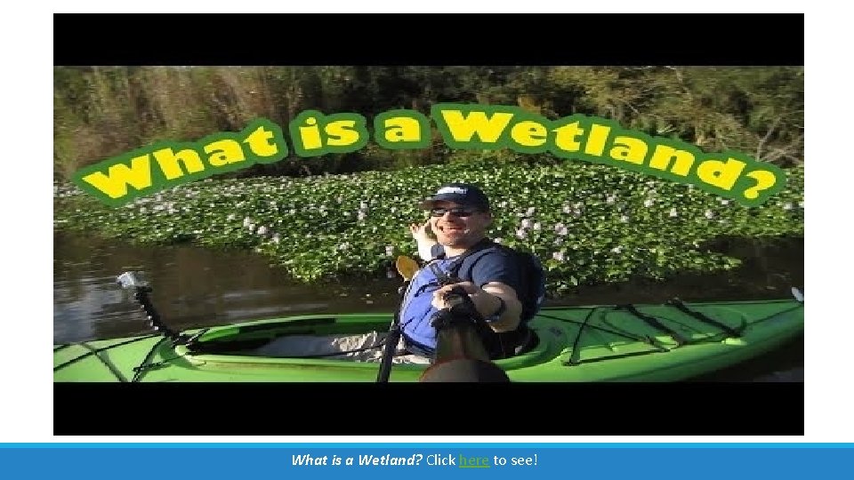 What is a Wetland? Click here to see! What is a Wetland? Click here to see!