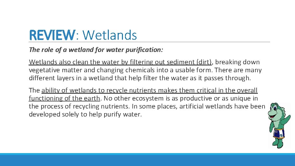 REVIEW: Wetlands The role of a wetland for water purification: Wetlands also clean the REVIEW: Wetlands The role of a wetland for water purification: Wetlands also clean the