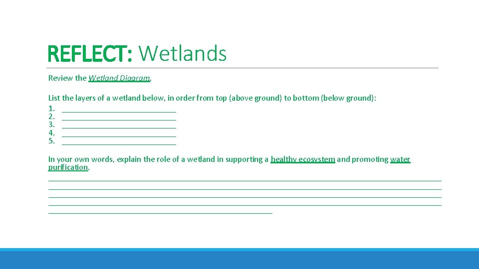 REFLECT: Wetlands Review the Wetland Diagram. List the layers of a wetland below, in REFLECT: Wetlands Review the Wetland Diagram. List the layers of a wetland below, in