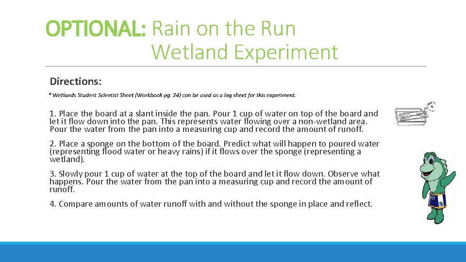 OPTIONAL: Rain on the Run Wetland Experiment Directions: 1. Place the board at a OPTIONAL: Rain on the Run Wetland Experiment Directions: 1. Place the board at a