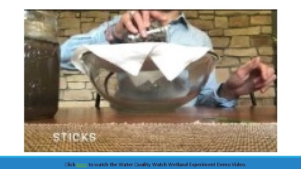 Click here to watch the Water Quality Watch Wetland Experiment Demo Video. Click here to watch the Water Quality Watch Wetland Experiment Demo Video.