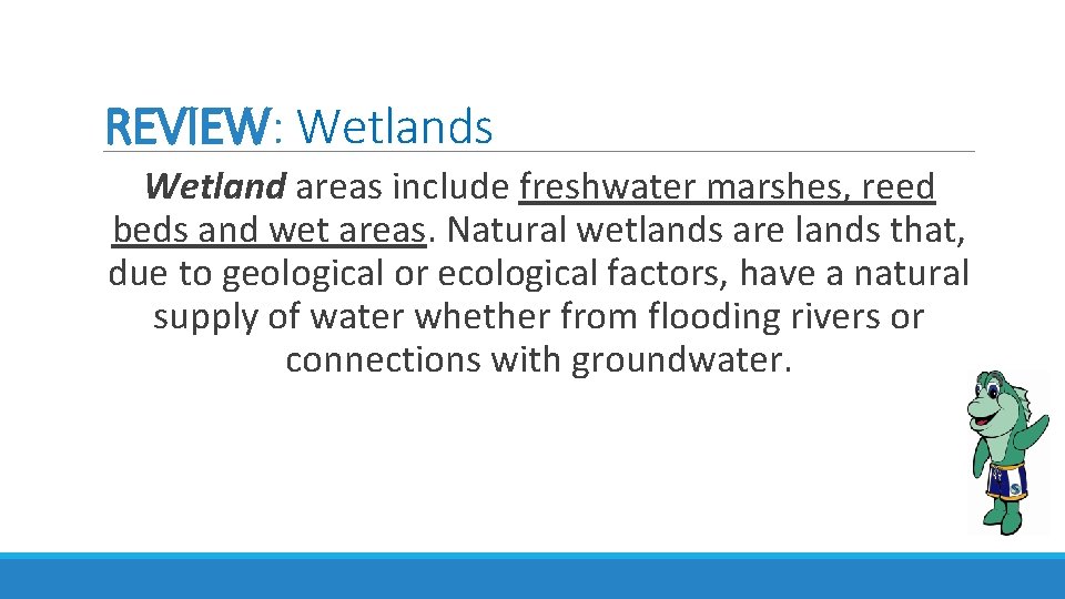 REVIEW: Wetlands Wetland areas include freshwater marshes, reed beds and wet areas. Natural wetlands REVIEW: Wetlands Wetland areas include freshwater marshes, reed beds and wet areas. Natural wetlands
