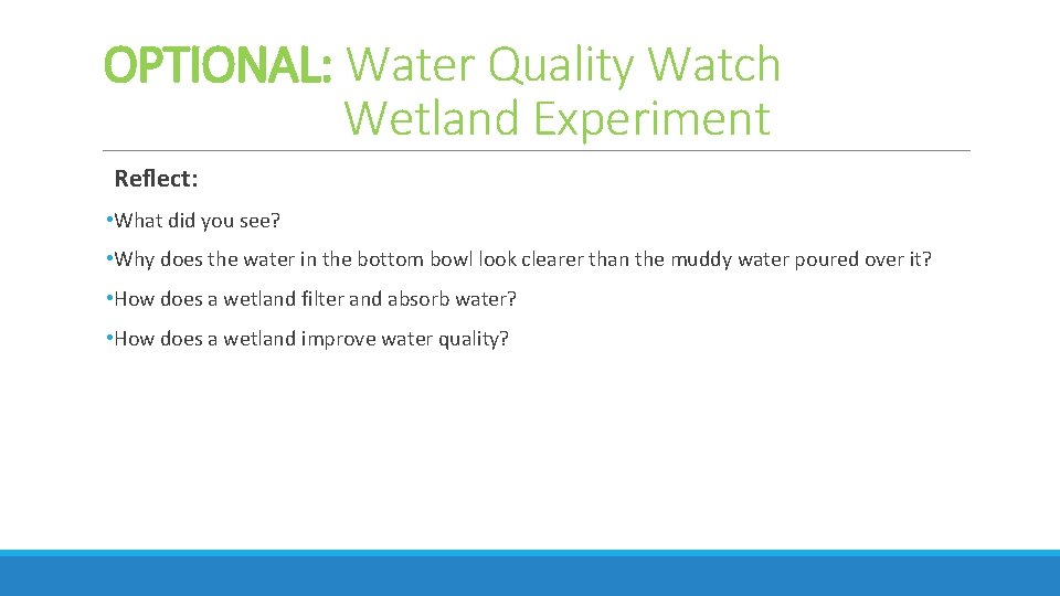 OPTIONAL: Water Quality Watch Wetland Experiment Reflect: • What did you see? • Why OPTIONAL: Water Quality Watch Wetland Experiment Reflect: • What did you see? • Why