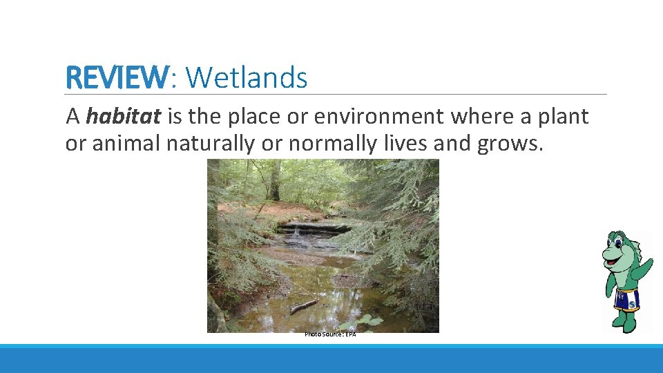 REVIEW: Wetlands A habitat is the place or environment where a plant or animal REVIEW: Wetlands A habitat is the place or environment where a plant or animal