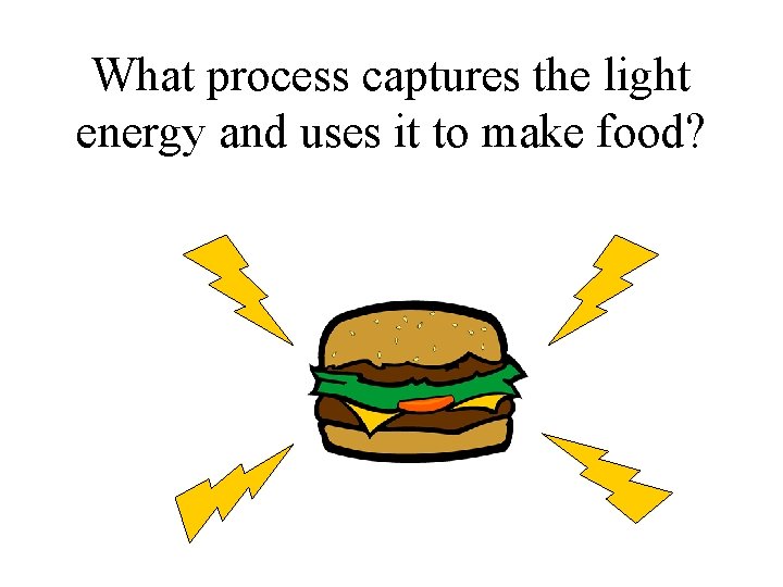 What process captures the light energy and uses it to make food? 