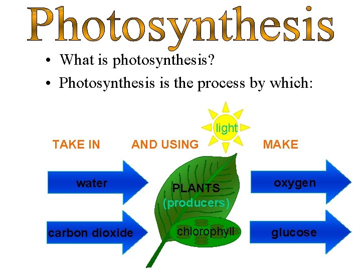  • What is photosynthesis? • Photosynthesis is the process by which: light TAKE