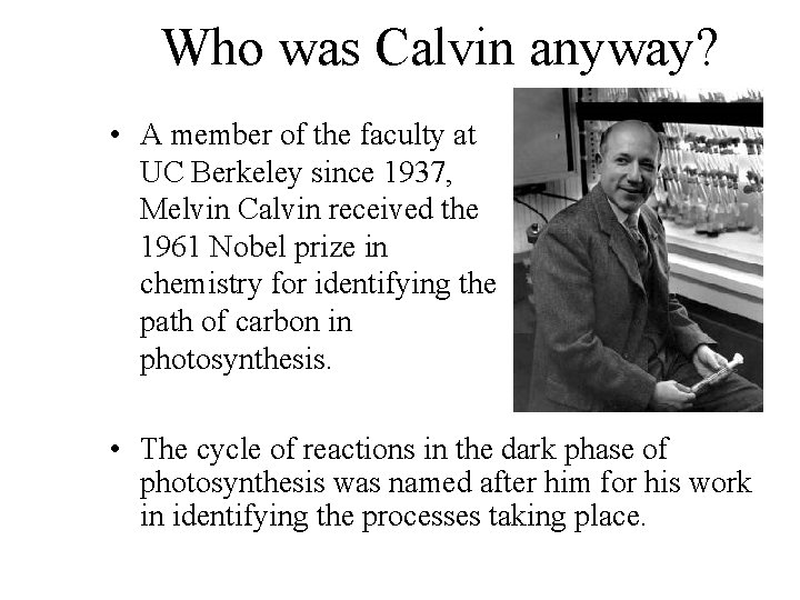 Who was Calvin anyway? • A member of the faculty at UC Berkeley since