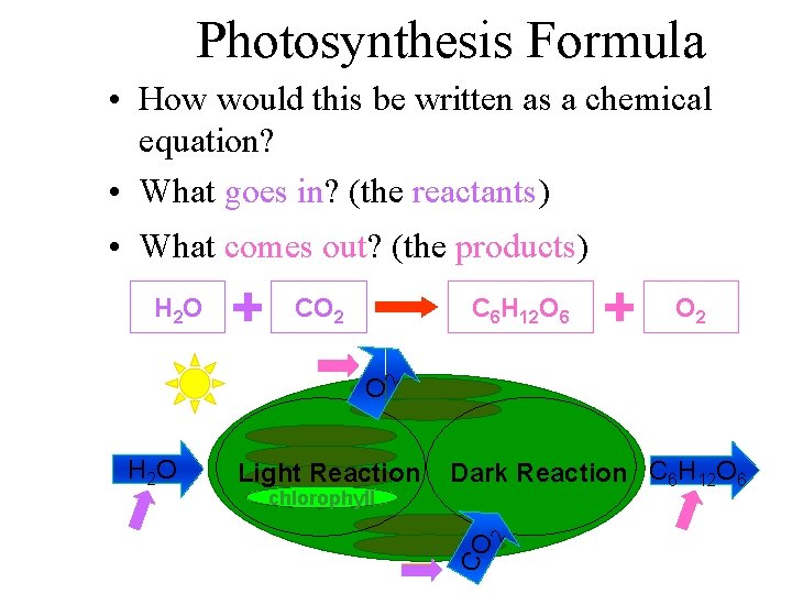 Photosynthesis Formula • How would this be written as a chemical equation? • What