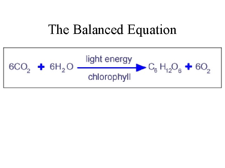 The Balanced Equation 