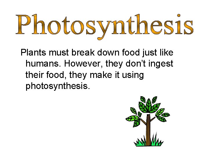 Plants must break down food just like humans. However, they don’t ingest their food,