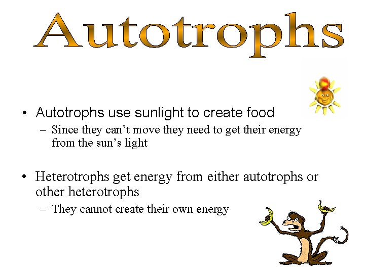  • Autotrophs use sunlight to create food – Since they can’t move they