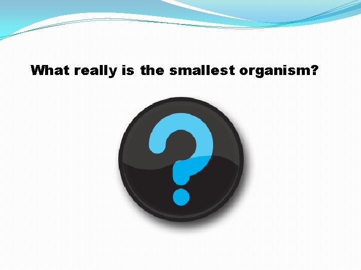 What really is the smallest organism? 