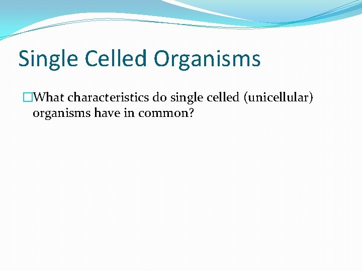 Single Celled Organisms �What characteristics do single celled (unicellular) organisms have in common? 