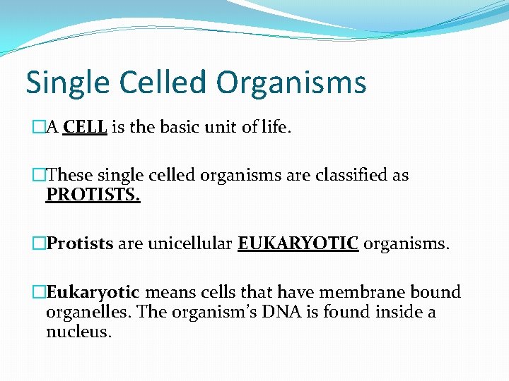 Single Celled Organisms �A CELL is the basic unit of life. �These single celled