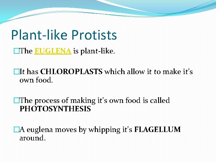 Plant-like Protists �The EUGLENA is plant-like. �It has CHLOROPLASTS which allow it to make