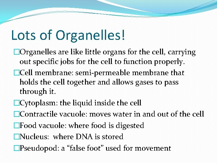 Lots of Organelles! �Organelles are like little organs for the cell, carrying out specific