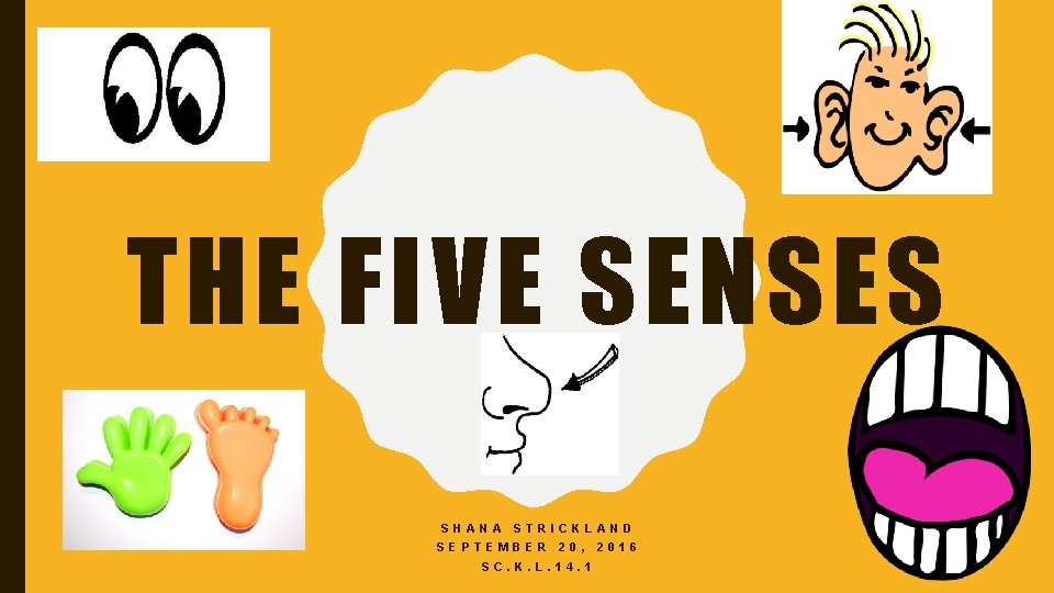 THE FIVE SENSES SHANA STRICKLAND SEPTEMBER 20, SC. K. L. 14. 1 2016 