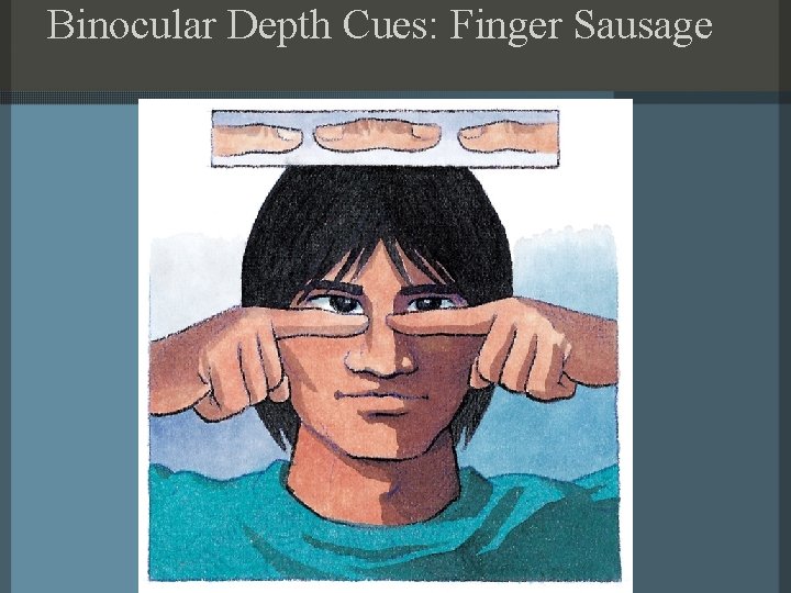 Binocular Depth Cues: Finger Sausage 