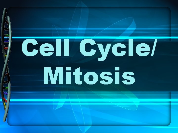 Cell Cycle/ Mitosis 