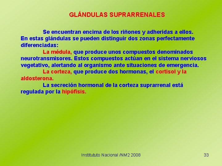 GLÁNDULAS SUPRARRENALES Se encuentran encima de los riñones y adheridas a ellos. En estas