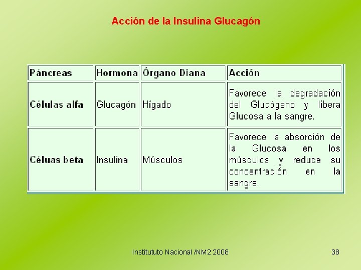 Acción de la Insulina Glucagón Institututo Nacional /NM 2 2008 38 