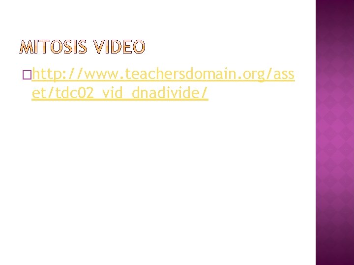 �http: //www. teachersdomain. org/ass et/tdc 02_vid_dnadivide/ 