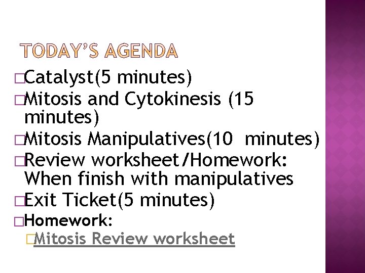 �Catalyst(5 minutes) �Mitosis and Cytokinesis (15 minutes) �Mitosis Manipulatives(10 minutes) �Review worksheet/Homework: When finish