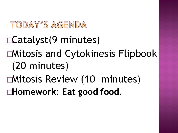 �Catalyst(9 minutes) �Mitosis and Cytokinesis Flipbook (20 minutes) �Mitosis Review (10 minutes) �Homework: Eat