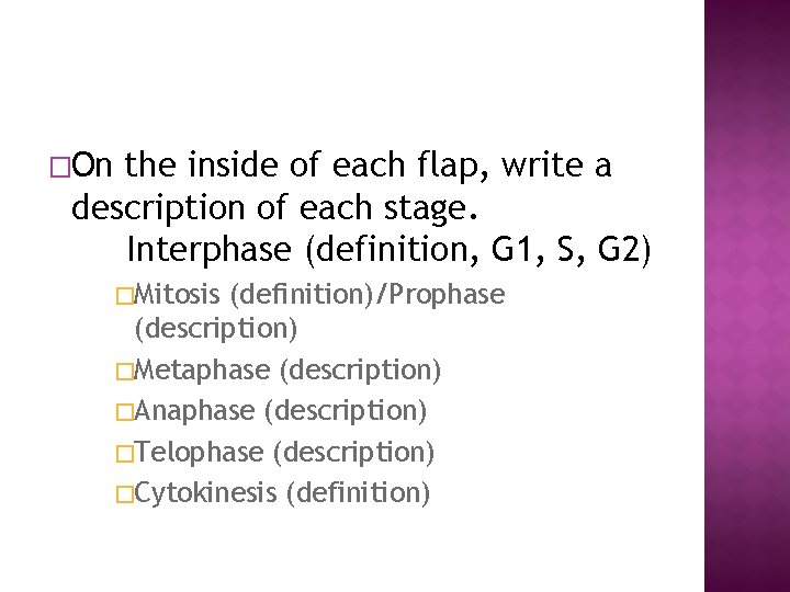 �On the inside of each flap, write a description of each stage. Interphase (definition,