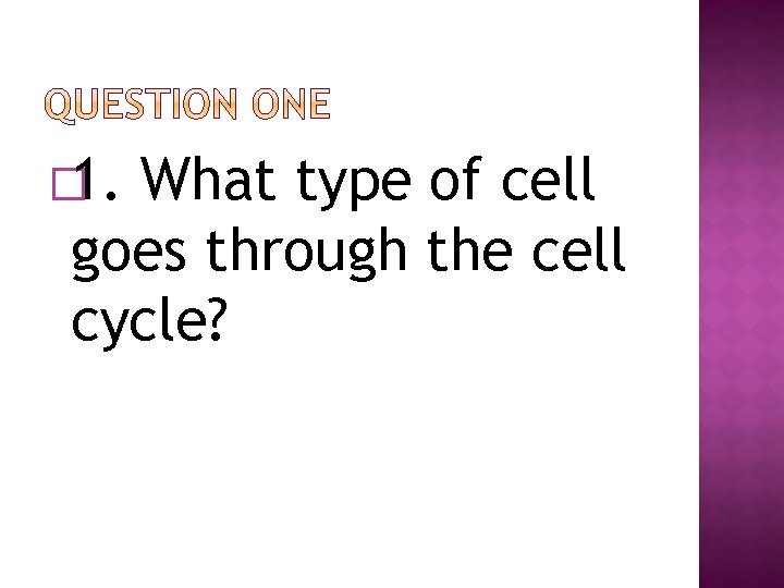 � 1. What type of cell goes through the cell cycle? � 1. What type of cell goes through the cell cycle?