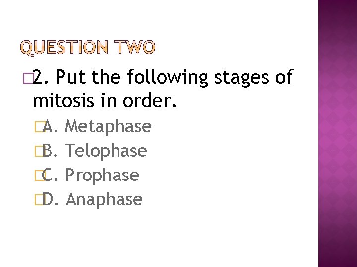 � 2. Put the following stages of mitosis in order. �A. Metaphase �B. Telophase � 2. Put the following stages of mitosis in order. �A. Metaphase �B. Telophase