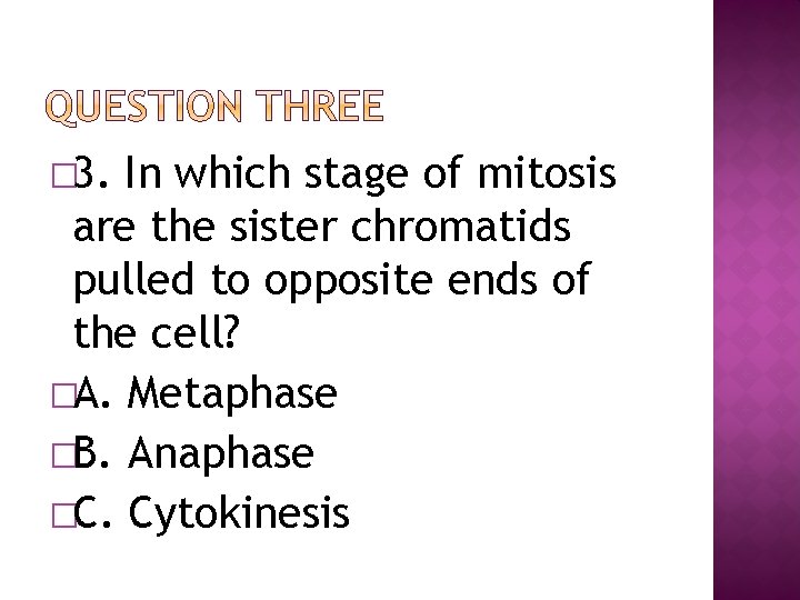 � 3. In which stage of mitosis are the sister chromatids pulled to opposite