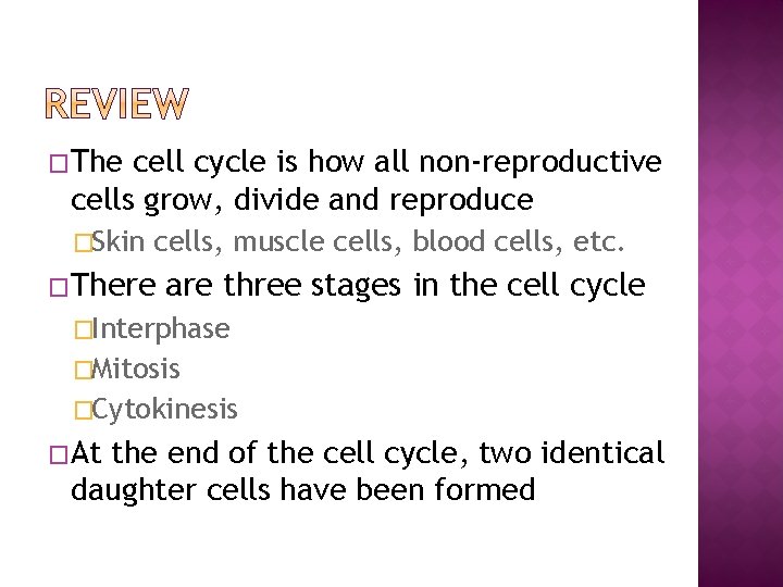 �The cell cycle is how all non-reproductive cells grow, divide and reproduce �Skin cells, �The cell cycle is how all non-reproductive cells grow, divide and reproduce �Skin cells,