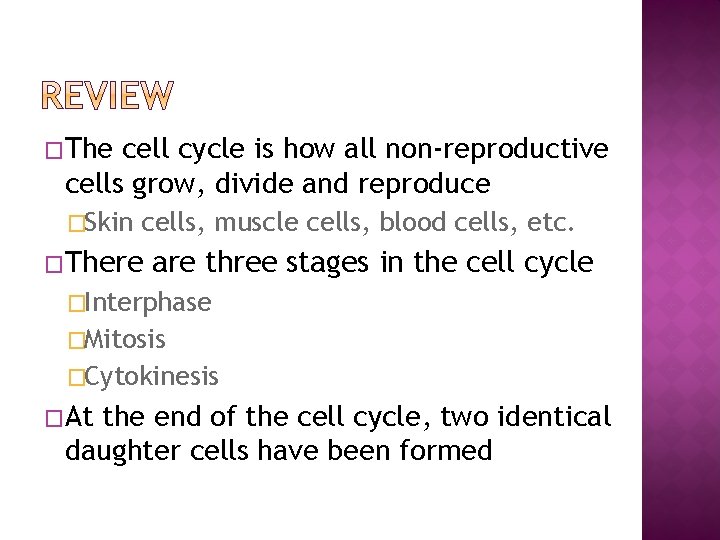 �The cell cycle is how all non-reproductive cells grow, divide and reproduce �Skin cells,