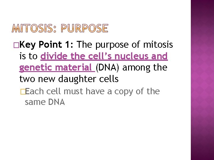 �Key Point 1: The purpose of mitosis is to divide the cell’s nucleus and
