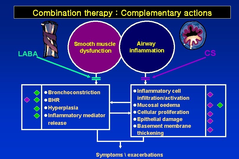 Combination therapy : Complementary actions LABA Smooth muscle dysfunction l Bronchoconstriction l BHR l