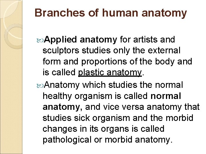 Branches of human anatomy Applied anatomy for artists and sculptors studies only the external