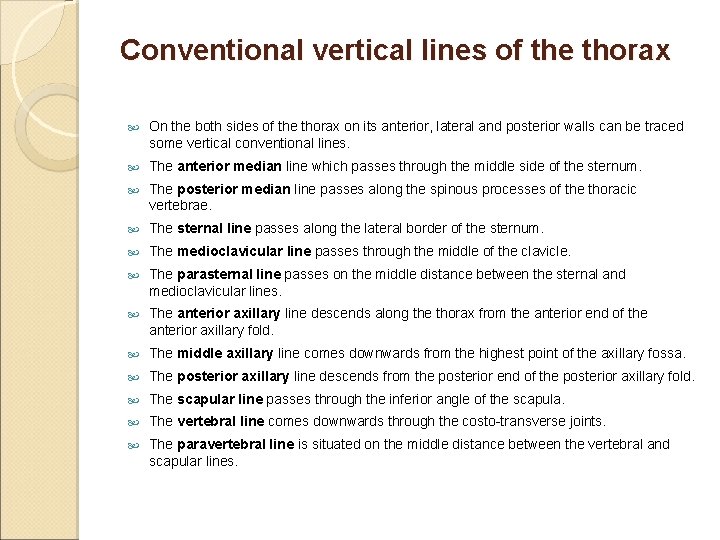 Conventional vertical lines of the thorax On the both sides of the thorax on