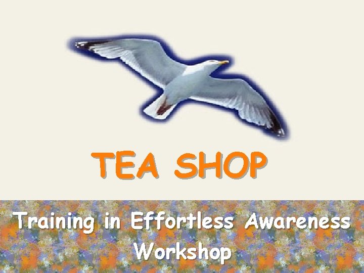 TEA SHOP Training in Effortless Awareness Workshop 